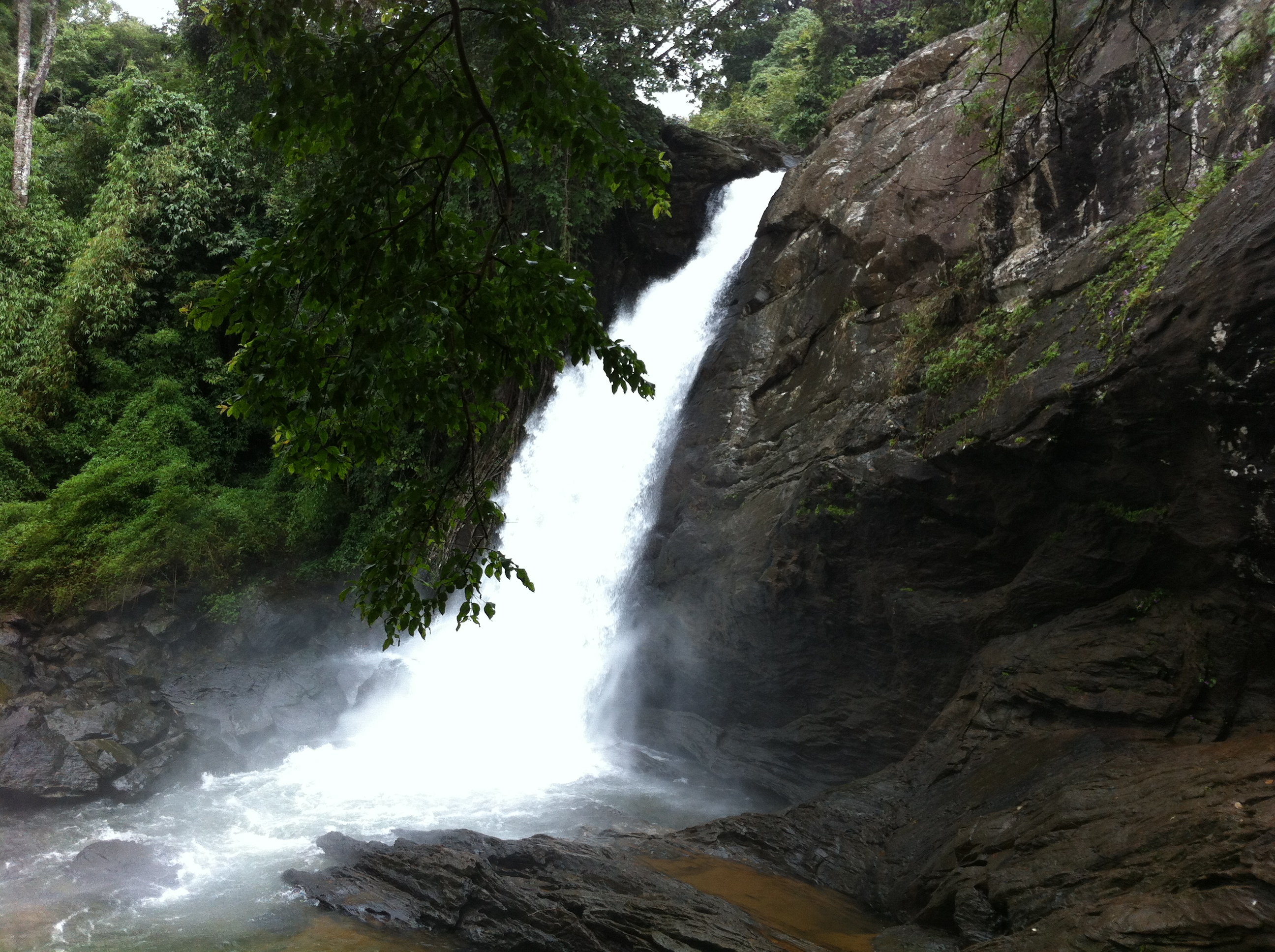 Soochipara Waterfalls Wayanad
